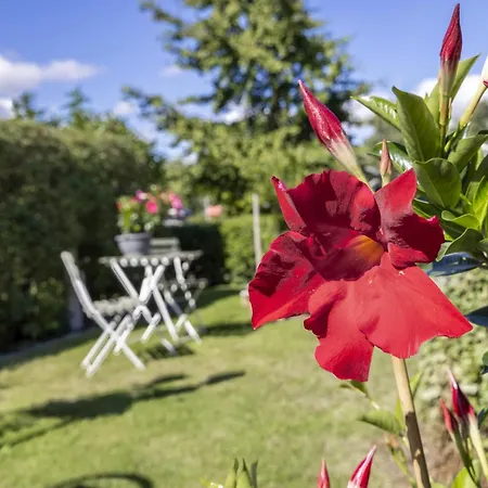 Apartment Zur Steinbaeck *